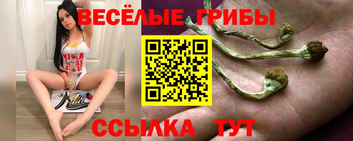 Галлюциногенные грибы GOLDEN TEACHER  Вход с VPN  Новодвинск  Галлюциногенные грибы мухоморы 